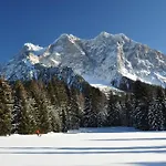 ألبين ريزيدانس 4* ايروالد