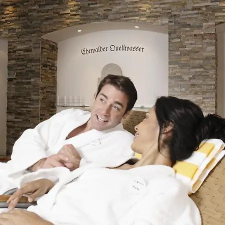 Hotel Alpen 4*