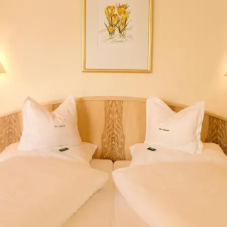 Hotel Alpen